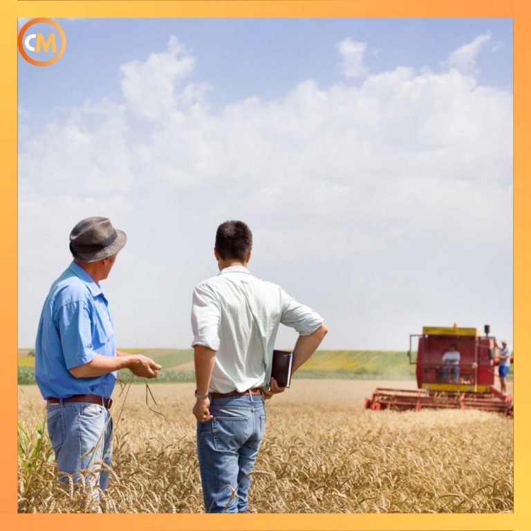 why are the ultra-wealthy investing in farmland?